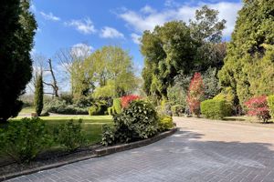 Photo 84- click for photo gallery